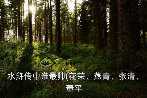水滸傳中誰最帥(花榮、燕青、張清、 董平