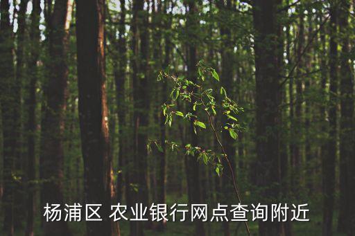 上海農(nóng)業(yè)銀行漕溪路支行4000萬(wàn),農(nóng)業(yè)銀行漕溪路支行電話(huà)