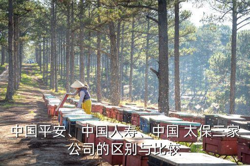 中國平安、中國人壽、中國 太保三家公司的區(qū)別與比較