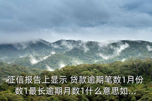 征信報告上顯示 貸款逾期筆數1月份數1最長逾期月數1什么意思如...