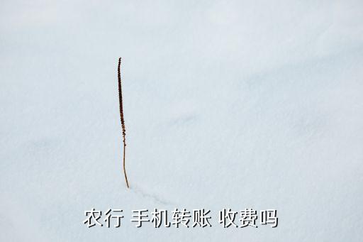 農(nóng)業(yè)銀行手機銀行轉款收費,建行手機銀行轉農(nóng)業(yè)銀行