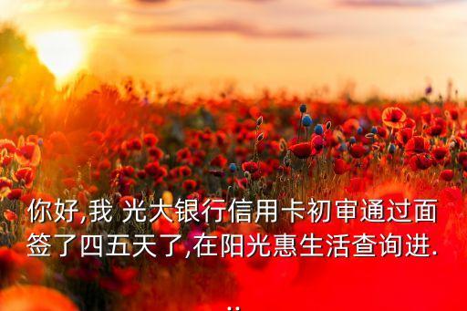 你好,我 光大銀行信用卡初審?fù)ㄟ^面簽了四五天了,在陽光惠生活查詢進...