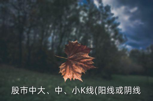 股市中大、中、小K線(陽(yáng)線或陰線