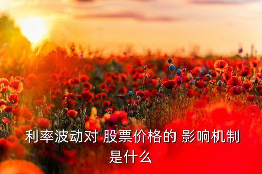  利率波動(dòng)對 股票價(jià)格的 影響機(jī)制是什么