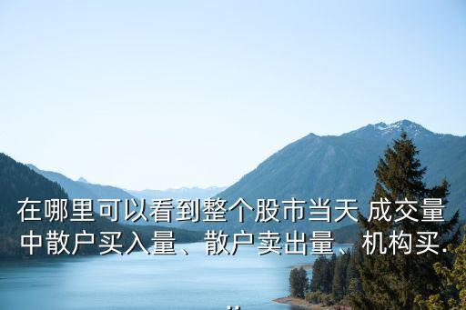 在哪里可以看到整個(gè)股市當(dāng)天 成交量中散戶買入量、散戶賣出量、機(jī)構(gòu)買...