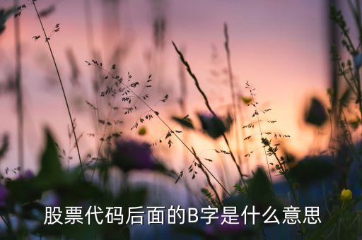 查詢股票證保b,股票歷史數(shù)據查詢