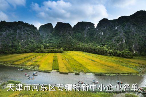 天津市河?xùn)|區(qū)專(zhuān)精特新中小企業(yè)名單