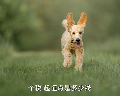 個(gè)稅 起征點(diǎn)是多少錢(qián)