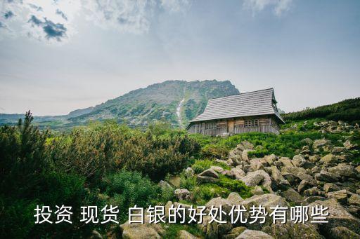白銀現(xiàn)貨投資斗斗金,哪個(gè)現(xiàn)貨白銀投資平臺好