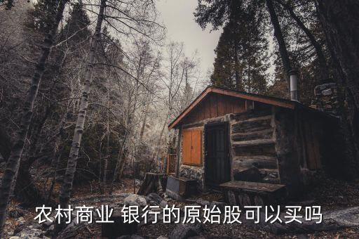 農(nóng)村商業(yè) 銀行的原始股可以買(mǎi)嗎