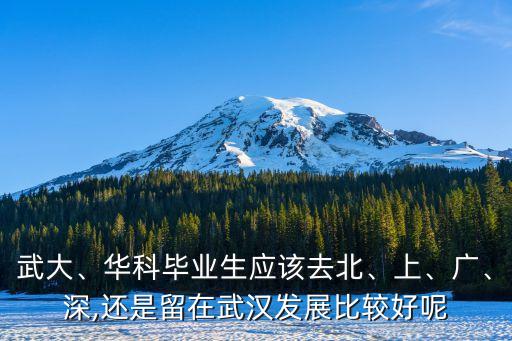 武大、華科畢業(yè)生應(yīng)該去北、上、廣、深,還是留在武漢發(fā)展比較好呢