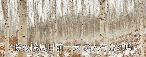 除權(quán)除息日前一天 買(mǎi)入有分紅嗎