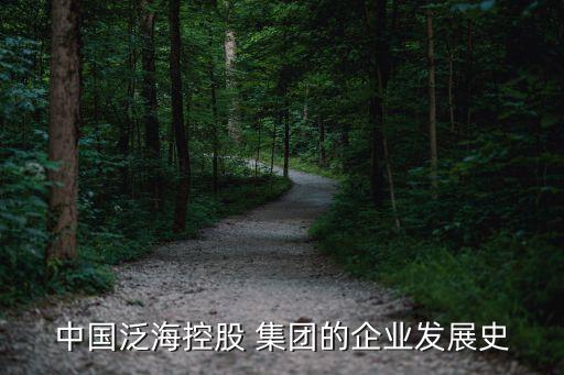 中國(guó)泛海控股 集團(tuán)的企業(yè)發(fā)展史