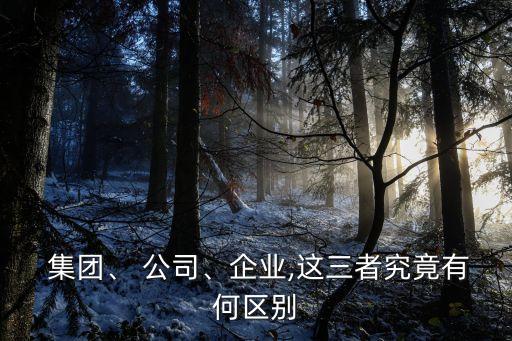  集團、 公司、企業(yè),這三者究竟有何區(qū)別