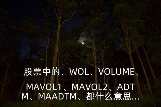  股票中的、WOL、VOLUME、MAVOL1、MAVOL2、ADTM、MAADTM、都什么意思...
