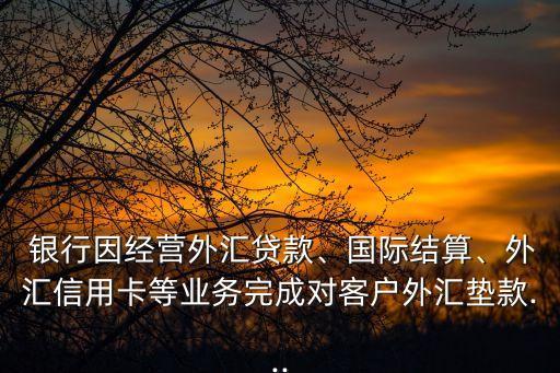  銀行因經(jīng)營外匯貸款、國際結(jié)算、外匯信用卡等業(yè)務(wù)完成對(duì)客戶外匯墊款...