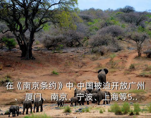 在《南京條約》中,中國被迫開放廣州、 廈門、南京、寧波、上海等5...