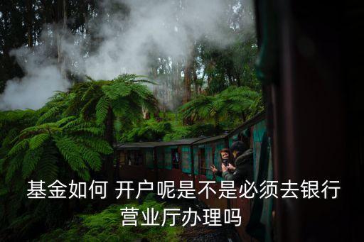 公司發(fā)基金開(kāi)戶(hù),基金在手機(jī)上怎么開(kāi)戶(hù)