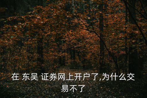 在 東吳 證券網(wǎng)上開(kāi)戶(hù)了,為什么交易不了