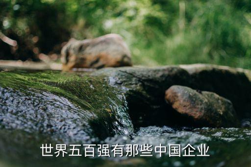 世界五百強(qiáng)有那些中國(guó)企業(yè)