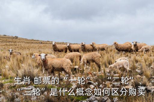  生肖 郵票的“一輪”、“二輪”、“ 三輪”是什么概念如何區(qū)分購買