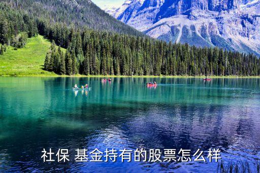 2014社?；鹬貍}(cāng)股,社保基金重倉(cāng)股有哪些