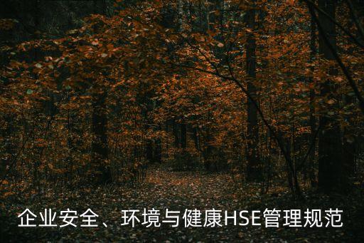 企業(yè)安全、環(huán)境與健康HSE管理規(guī)范