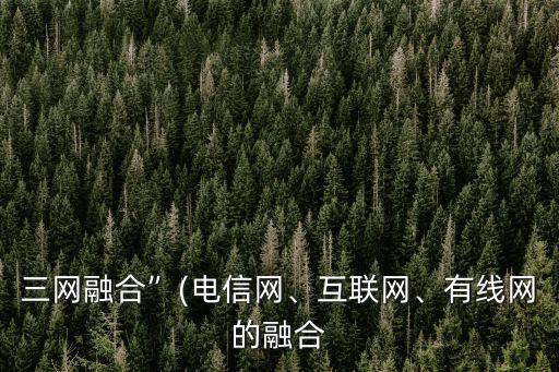 三網融合”(電信網、互聯(lián)網、有線網的融合