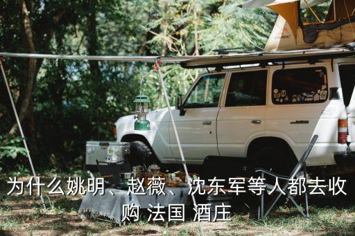 為什么姚明、趙薇、沈東軍等人都去收購 法國 酒莊