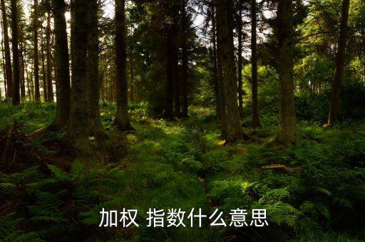  加權 指數(shù)什么意思