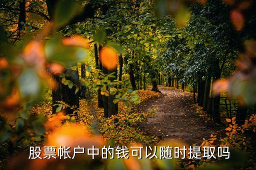  股票帳戶中的錢(qián)可以隨時(shí)提取嗎